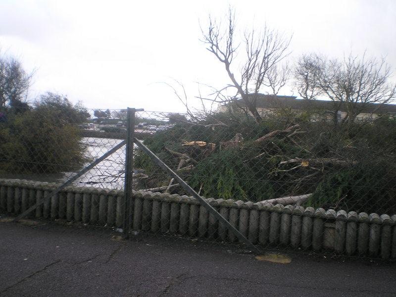 The trees being cleared from the boating lake