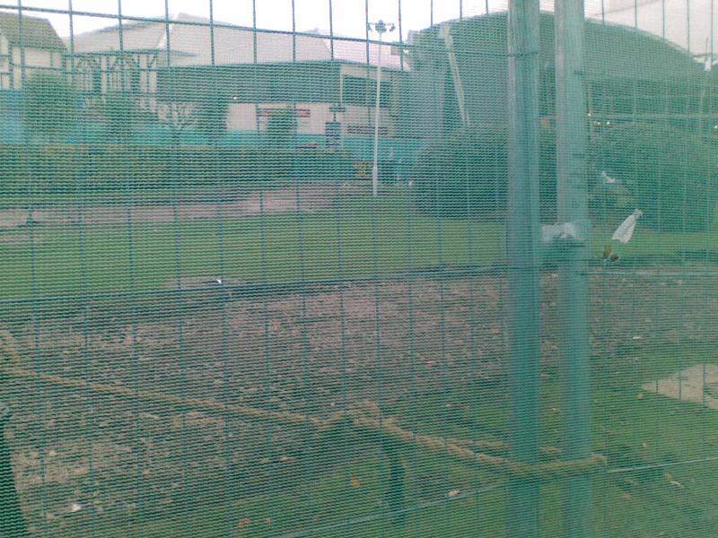 Looking at the old crazy golf course