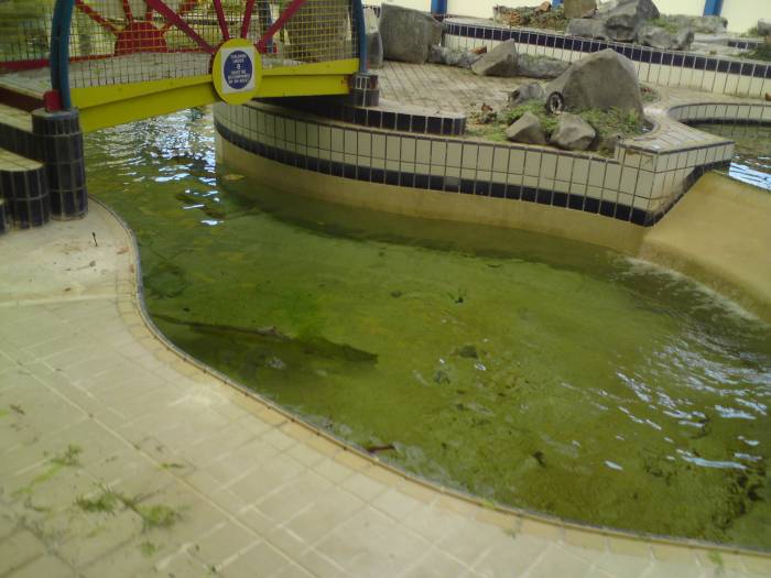 Minehead Sunsplash Pool in 2008
