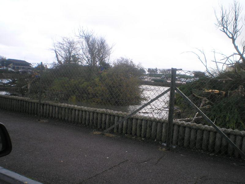 The trees being cleared from the boating lake