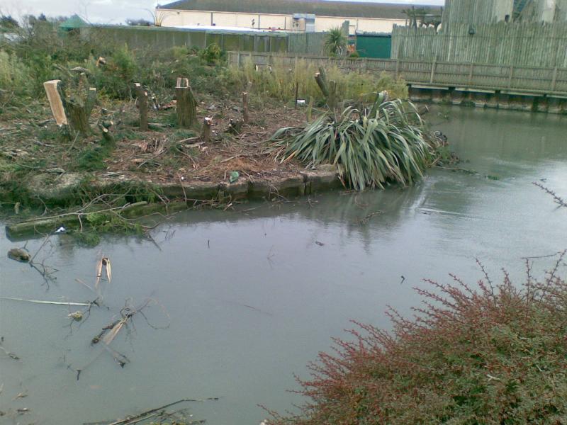 The old boating lake