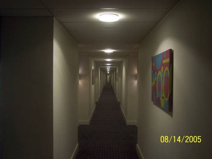 A corridor in the Shoreline Hotel