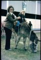 Donkey Derby 1975