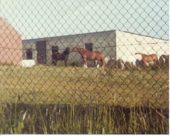 Viewed from the staff chalets in 1981
