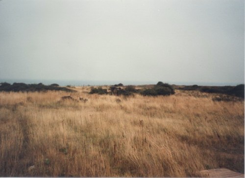 Rough grass area between Blue Camp and the beach