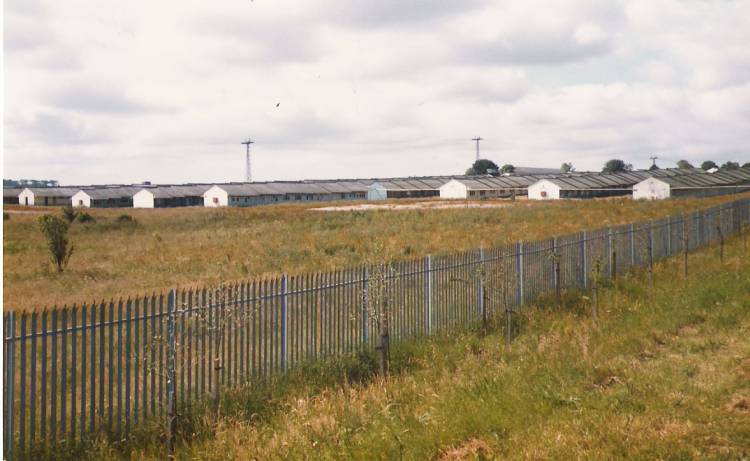 View from Primrose Valley after closure