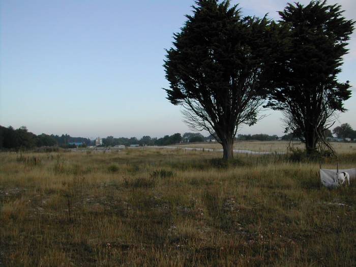 Remains of Filey Camp, September 2008