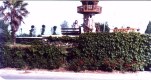 Tree House 1982