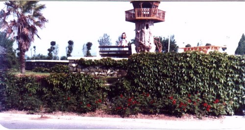 Tree House 1982