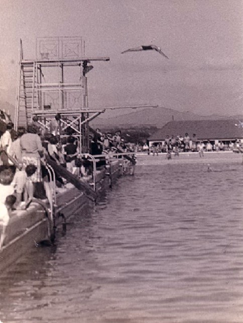 Diving Competition 1954